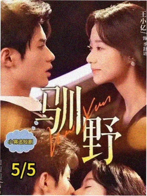 影视首发短剧完播率观察配图